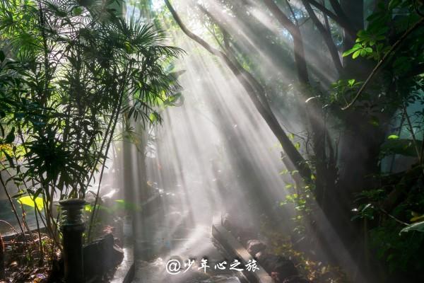 大木，能给我推荐一款搬砖游戏吗？2020，还能创业游戏工作室吗？