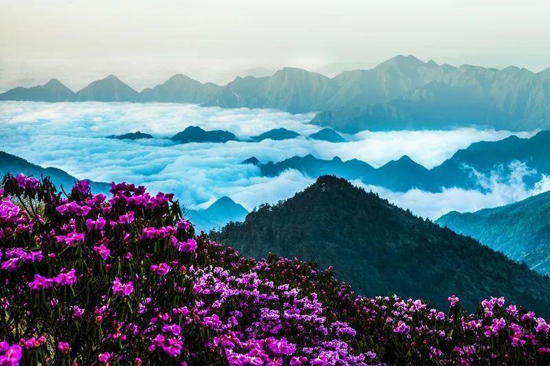 海之号角神秘海怪